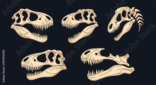 Extensive collection of five distinct dinosaur skulls and jaws depicted in various perspectives for scientific study.