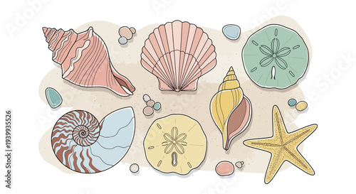 Colorful seashells and starfish on sandy beach illustration.