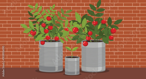 Lush red tomato plants growing in recycled metal tin cans against a rustic red brick wall in a backyard home garden.