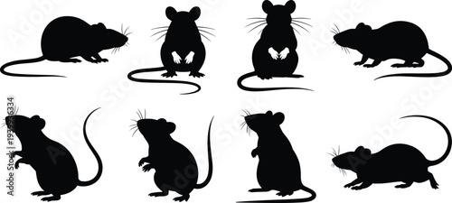 Rodent silhouettes vector illustration, rats and mice artwork in various poses, animal anatomy design for biology, education, wildlife themes