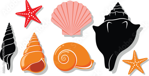 Colorful seashell collection vector illustration with starfish scallop conch spiral shells flat design marine elements beach summer ocean clipart set