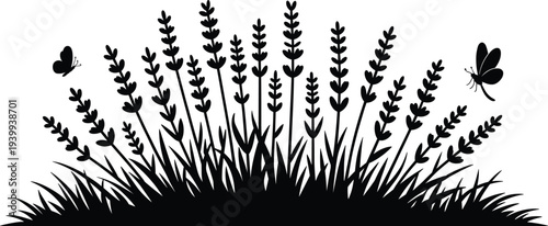Black silhouette of lavender flowers and grass with flying butterflies, perfect for spring garden designs, nature borders, and floral patterns (20 words)