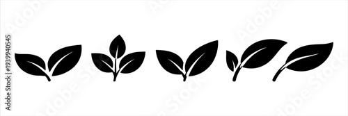 Set of Icons Representing Leaves in Different Arrangements