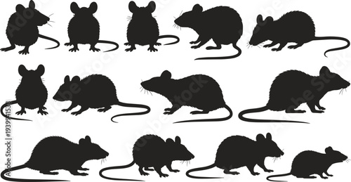 Rat and Mouse Silhouette Collection with Multiple Rodent Animal Poses Isolated for Wildlife, Pest Control, and Nature Design