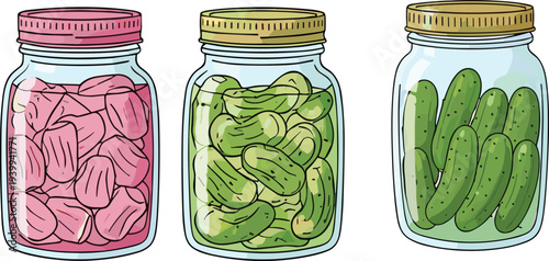 Hand Drawn Pickled Vegetables Jar Vector Set with Pickled Radish Cucumber and Gherkin Glass Jars Illustration