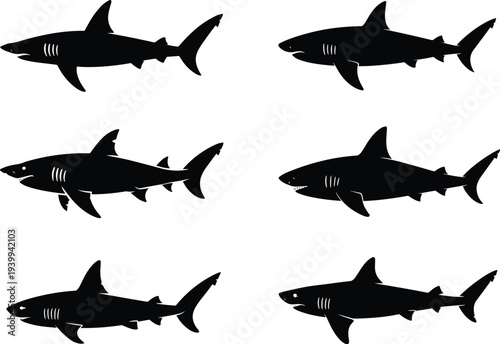 Set of black silhouettes of swimming great white sharks in various side view poses isolated on white background for marine graphics