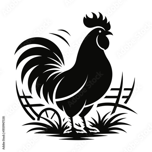 Vintage Rooster Illustration Vector in Woodcut Engraving Style.