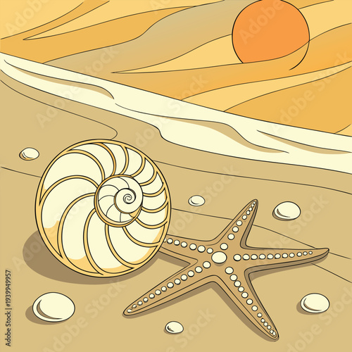 sea shells background