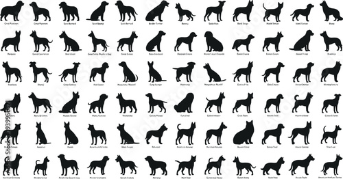 Black dog breeds silhouettes set with various domestic pedigree and purebred dogs for pet care veterinary animal shop and kennel design