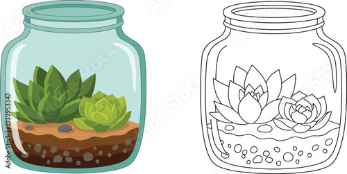 Colorful and outline vector illustration of a mini succulent terrarium in a glass jar perfect for gardening concepts home decor or kids coloring activities