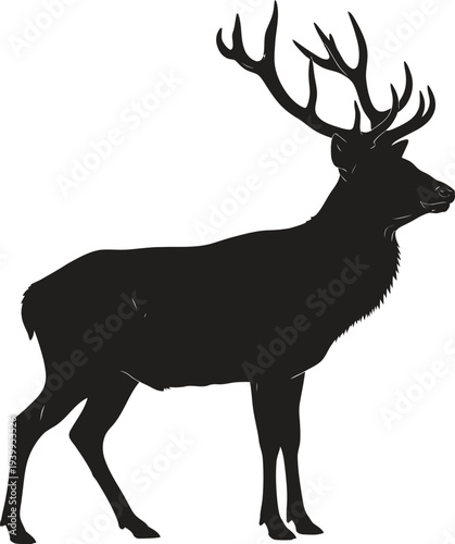 Black silhouette of a majestic stag with antlers on a white background