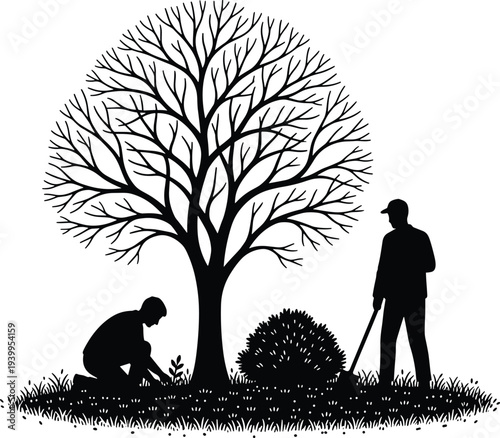 Black silhouette of two male gardeners planting a small sapling and landscaping around a large leafless tree in a public park or garden