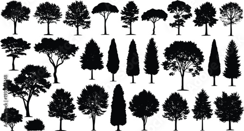 Silhouette vector illustration of diverse tree types in rows, broadleaf and coniferous species, ornamental designs, minimal style, botanical artwork, landscape concept