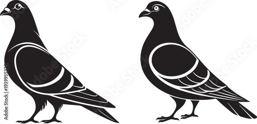 Pigeon Bird Vector Illustration Icon