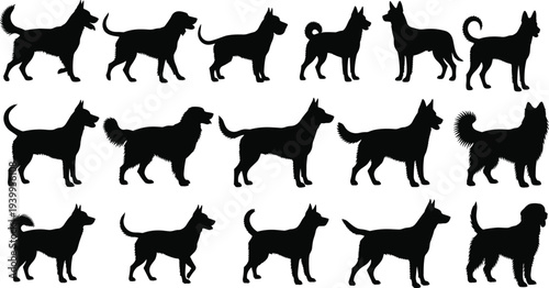 Silhouette vector illustration of fifteen dog breeds in rows, distinct body shapes, tails, ears, fur textures, minimal design, canine artwork