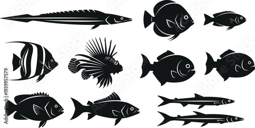 Silhouette vector illustration of twelve fish species in grid, varied shapes, fins, tails, body proportions, minimal design, aquatic wildlife artwork