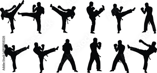 Silhouettes of martial artists performing diverse kicks, stances, defensive postures, combat techniques, training illustration, sports vector design concept