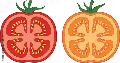 Tomato slice cross section vector illustration colorful fresh vegetable cut food ingredient icon flat cartoon design style
