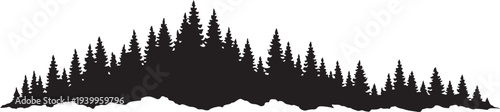 Black Silhouette of Coniferous Forest Pine Trees Panorama on White Background