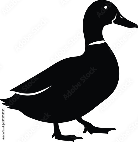 Mallard duck silhouette standing in side profile view showing beak and feathers