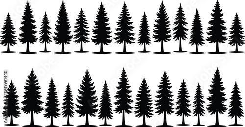 Black silhouette set of various evergreen pine trees and firs in two horizontal rows isolated on white background for forest landscape and nature designs