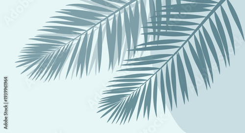 Tropical aesthetic background featuring the delicate shadows of palm leaves cast upon a soft light blue surface with a subtle circular shape.