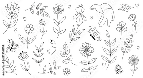 Diverse set of delicate black and white line art sketches features flowers, leaves, butterflies, and a snail for botanical designs.