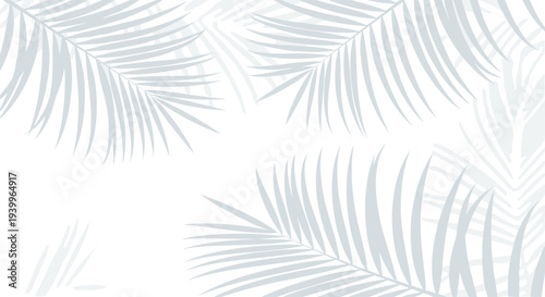 Subtle grey shadows of palm tree leaves create a tropical and relaxing atmosphere on a clean white background surface.