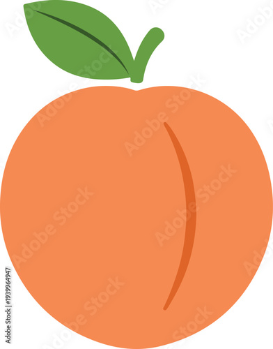 Fresh Peach Fruit Illustration - Healthy Food and Organic Nature Vector