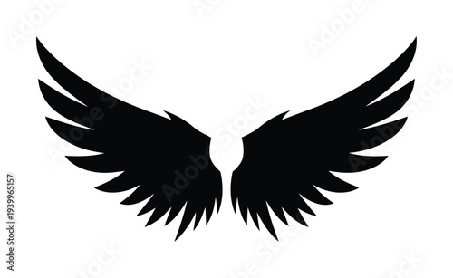 Vector of symmetrical black wings spread wide