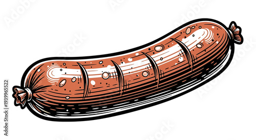 Hand drawn illustration of a delicious sausage