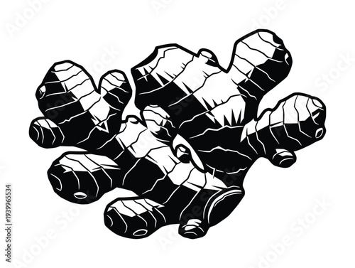 Vector of a cluster of ginger root with textured knobs and organic shapes