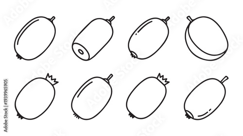 Outline Fruit Collection Icons Vector Set Kiwi Berries Isolated on White Background