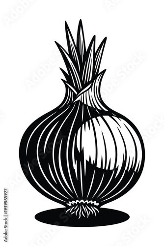 Vector of a single onion with shading and bold lines standing upright