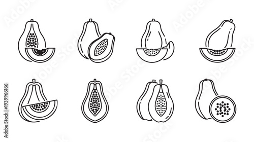 Papaya Fruit Slice Icons Set Line Art Tropical Food Healthy Eating