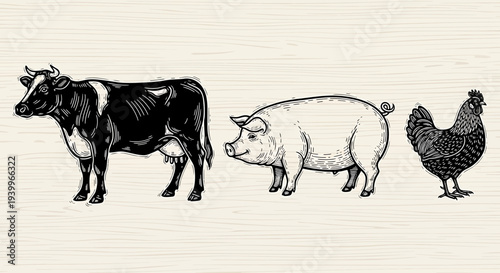 Vintage hand drawn illustration of farm animals including cow pig and chicken
