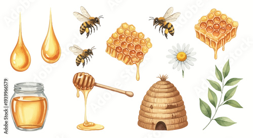 Watercolor illustration of honey bees honeycomb and related elements