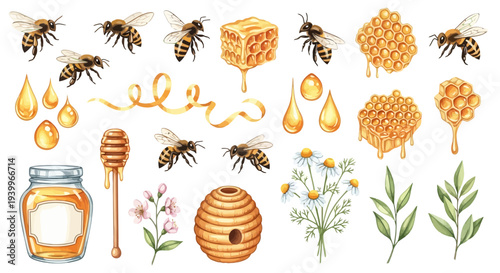 Watercolor illustration of bees honeycombs and related objects isolated