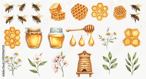 Watercolor illustration of bees honeycombs flowers and honey jar elements