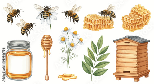 Watercolor illustration of bees honeycombs flowers honey jar and beehive