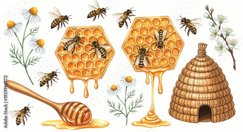 Watercolor illustration of bees honeycombs honey and beehive on white