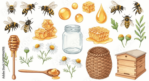 Watercolor illustration of bees honeycombs honey jar and related elements