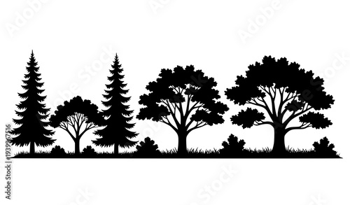 Mixed forest tree silhouette vector with oak and conifer woodland isolated on white background