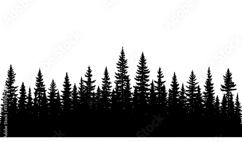 Dense pine forest silhouette vector woodland treeline landscape isolated on white background