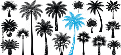 Collection of various palm tree silhouettes in different shapes and sizes against a clean background
