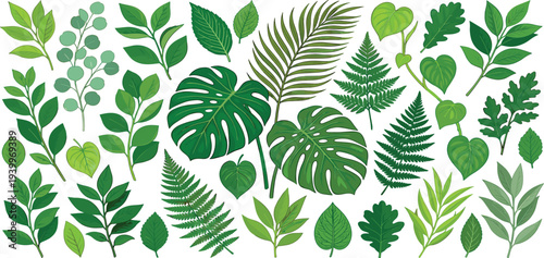 A vibrant collection of diverse green leaves and plants displayed from a top-down viewpoint