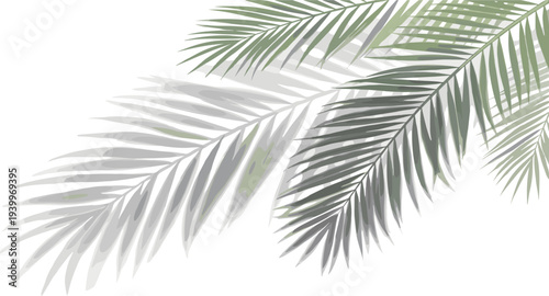 A serene illustration of palm leaves in a tranquil environment viewed from a close-up perspective