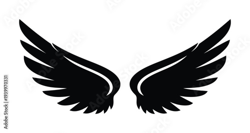 Pair of symmetrical vector wings extending gracefully against a plain background.