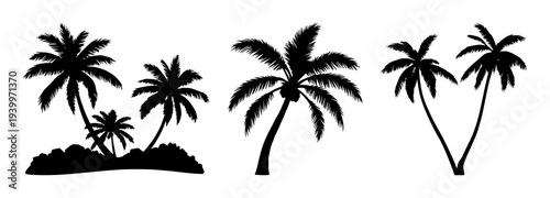 Minimalist Black and White Palm Tree Silhouette Vector for Tropical Themes & Summer Beach Scenes – Isolated for Clean Design Graphics