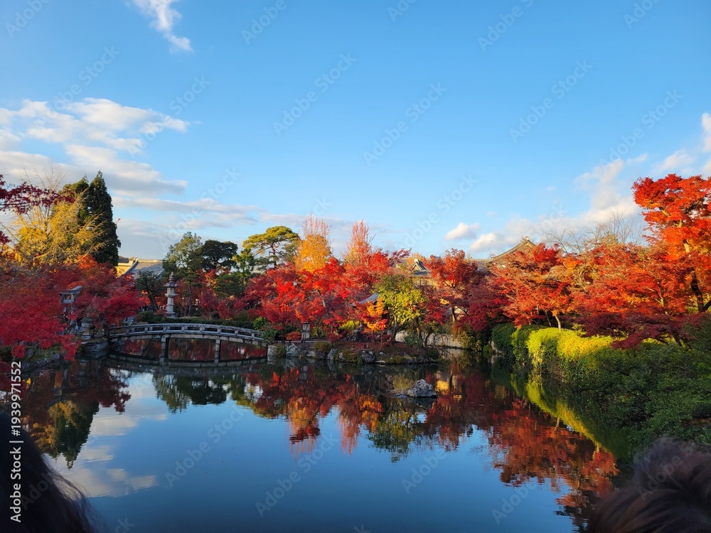 Obraz premium autumn in Kyoto Japan 